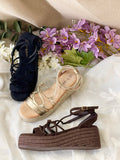6011 - FELIZ SHOPPING 