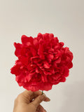 FC PEONIA PARA FLAMENCO FLO400 tk-26 - FELIZ SHOPPING 
