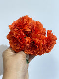 FK1 RAMILLETES 5U CADA FLORE 7CM DIÁMETRO FLO400