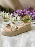 6012 - FELIZ SHOPPING 