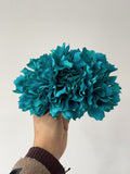 V - FELIZ SHOPPING 