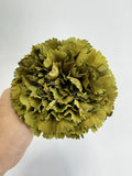 FE CLAVEL GRANDE 11cm diámetro FLO300 - FELIZ SHOPPING 
