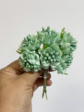 FP RAMILLETES 6U CADA FLORE 3CM DIÁMETRO FLO300